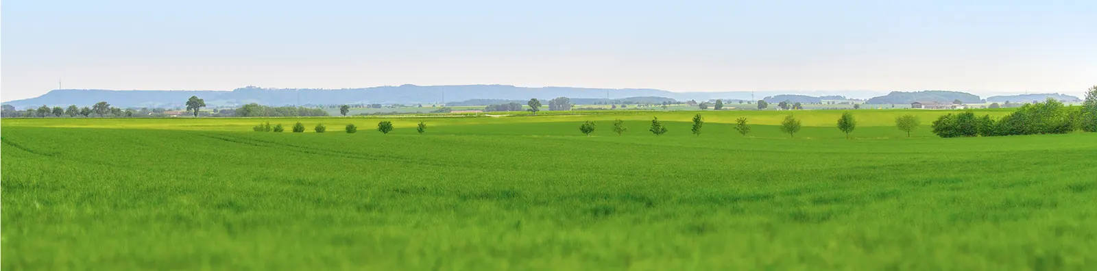 Hohenloher Landschaft rund um den Standort Pfedelbach